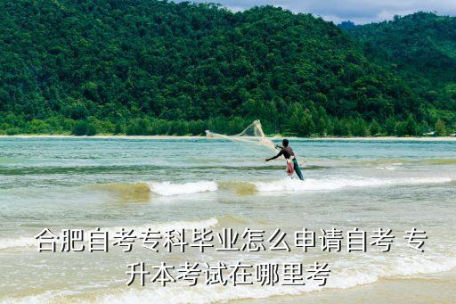  合肥自考?？飘厴I(yè)怎么申請自考 專升本考試在哪里考