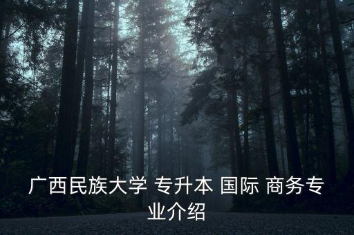 讀國際商務(wù)專升本,山東國際商務(wù)專升本可以選什么專業(yè)