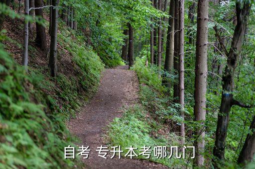  自考 專升本考哪幾門