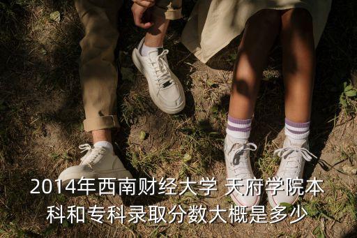 2014年西南財經(jīng)大學(xué) 天府學(xué)院本科和?？其浫》謹?shù)大概是多少