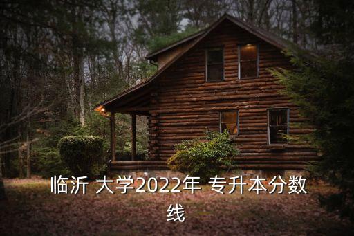  臨沂 大學(xué)2022年 專升本分數(shù)線