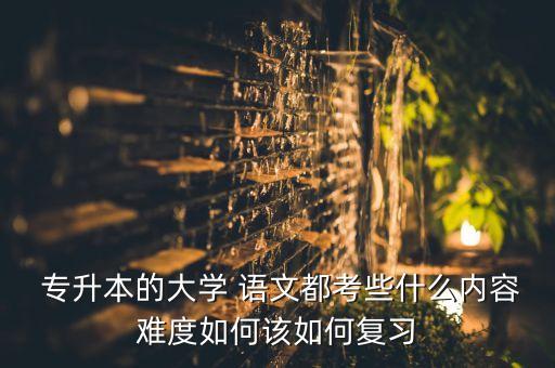  專升本的大學(xué) 語(yǔ)文都考些什么內(nèi)容難度如何該如何復(fù)習(xí)