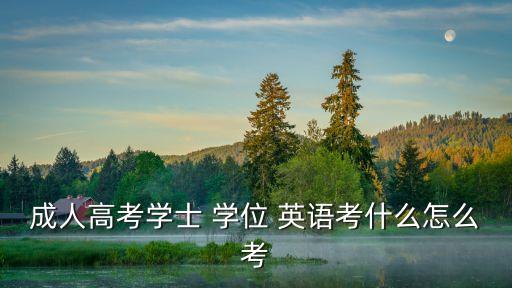 成人高考學士 學位 英語考什么怎么考