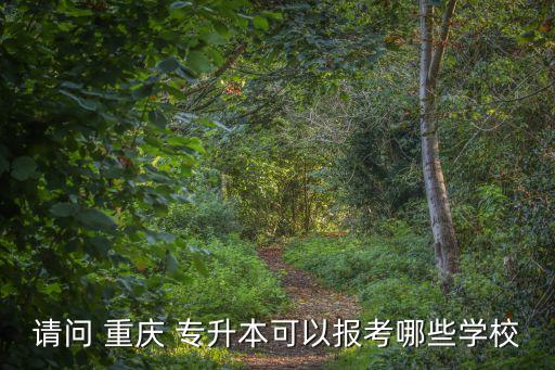 請(qǐng)問 重慶 專升本可以報(bào)考哪些學(xué)校