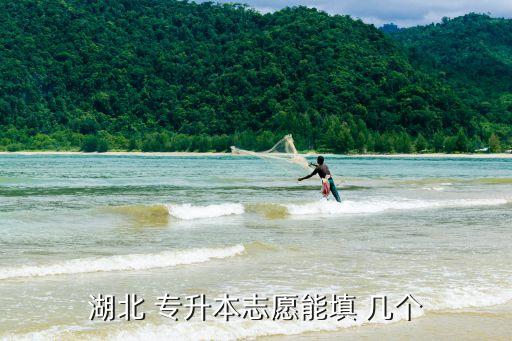 湖北 專(zhuān)升本志愿能填 幾個(gè)