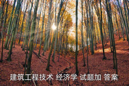 建筑工程技術 經(jīng)濟學 試題加 答案