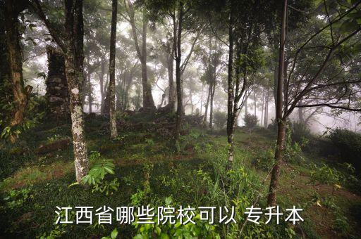 江西省哪些院校可以 專升本
