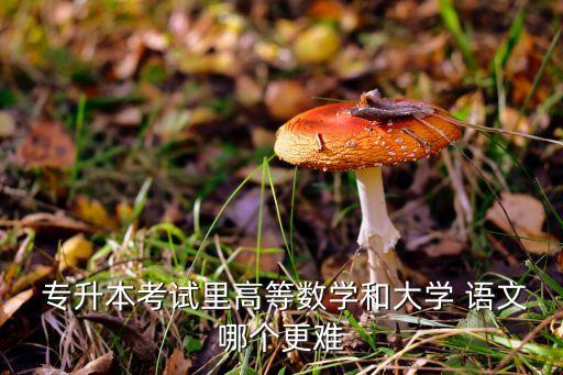 專升本語(yǔ)文難不難,安徽專升本語(yǔ)文難不難