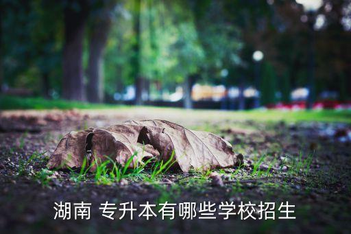 2018年專升本錄取名單,湖南人文科技學(xué)院專升本錄取名單