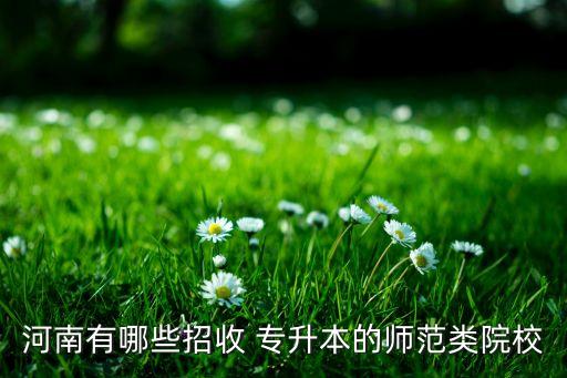 河南有哪些招收 專升本的師范類院校