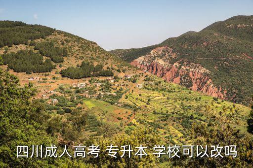 四川成人高考 專升本 學(xué)?？梢愿膯? class=