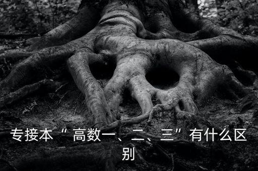 專接本“ 高數(shù)一、二、三”有什么區(qū)別