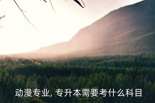  動(dòng)漫專業(yè), 專升本需要考什么科目
