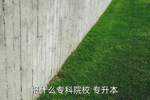 報(bào)什么?？圃盒?專升本