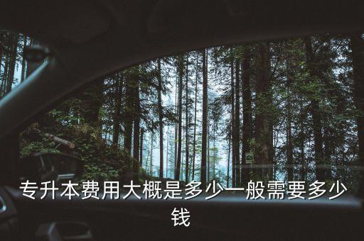  專升本費(fèi)用大概是多少一般需要多少錢