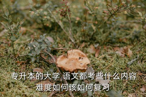  專升本的大學(xué) 語文都考些什么內(nèi)容難度如何該如何復(fù)習(xí)