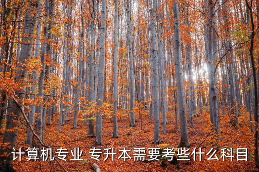 計算機專業(yè) 專升本需要考些什么科目