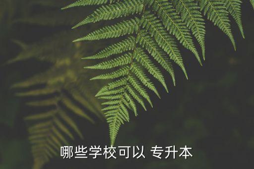 哪些學?？梢?專升本