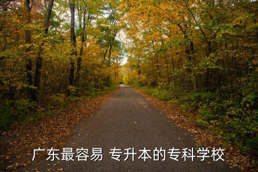 廣東最容易 專升本的?？茖W(xué)校
