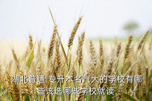  湖北普通 專升本名氣大的學(xué)校有哪些該選哪些學(xué)校就讀