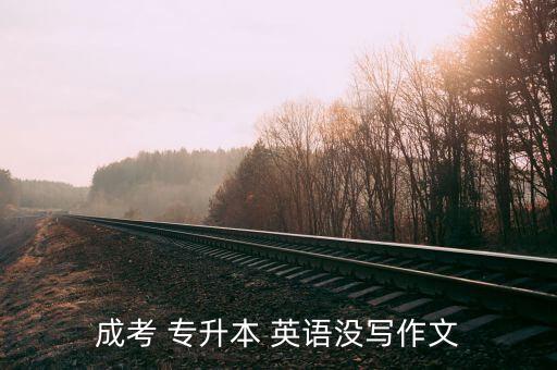 成考 專升本 英語(yǔ)沒(méi)寫(xiě)作文