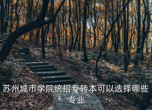 蘇州城市學(xué)院統(tǒng)招專轉(zhuǎn)本可以選擇哪些 專業(yè)