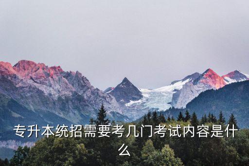 專(zhuān)升本生物學(xué)概論大綱,海南專(zhuān)升本藝術(shù)概論考題大綱