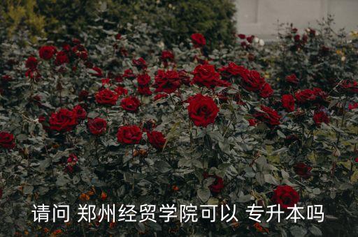 請問 鄭州經(jīng)貿(mào)學院可以 專升本嗎