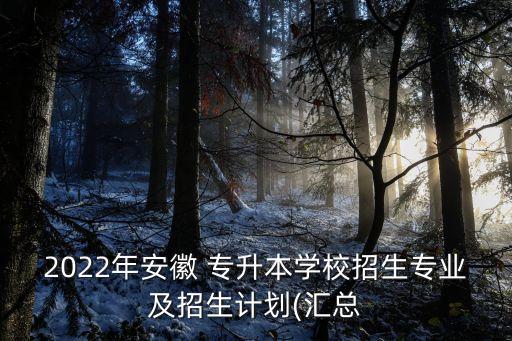 2022年安徽 專升本學(xué)校招生專業(yè)及招生計(jì)劃(匯總