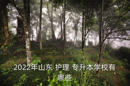 2022年山東 護理 專升本學(xué)校有哪些