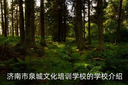 濟南專升本自考培訓(xùn)班,自考專升本在學(xué)校報還是培訓(xùn)班報比較好