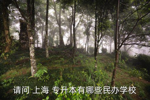 上海有哪些專(zhuān)升本大學(xué),上海專(zhuān)升本可以報(bào)考哪些大學(xué)