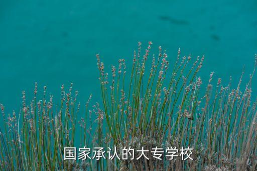 國家承認(rèn)的大專學(xué)校