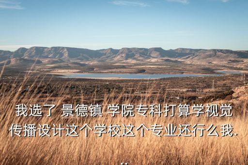 我選了 景德鎮(zhèn) 學(xué)院?？拼蛩銓W(xué)視覺傳播設(shè)計(jì)這個(gè)學(xué)校這個(gè)專業(yè)還行么我...