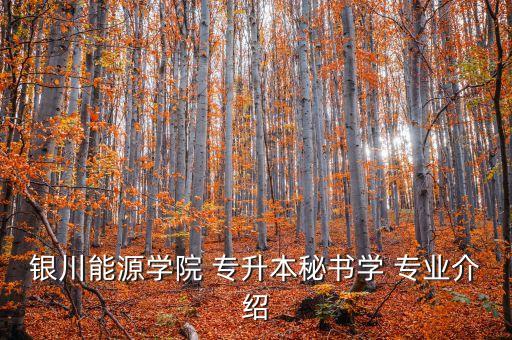 銀川能源學院 專升本秘書學 專業(yè)介紹