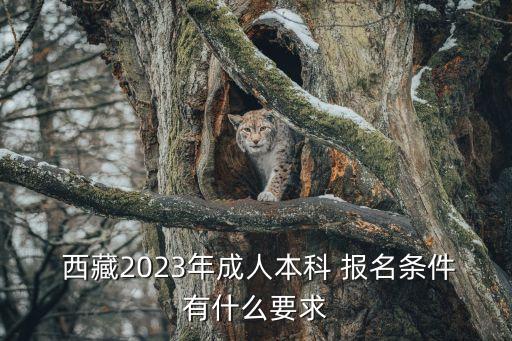  西藏2023年成人本科 報名條件有什么要求