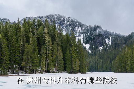 在 貴州?？粕究朴心男┰盒? class=