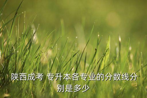 2015陜西專升本錄取線,陜西專升本環(huán)境監(jiān)測技術錄取線是多少