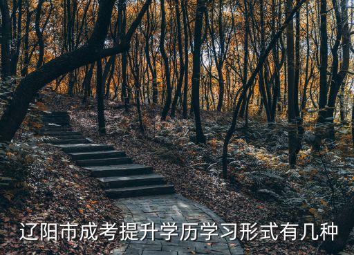  遼陽市成考提升學(xué)歷學(xué)習(xí)形式有幾種