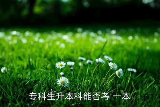 ?？粕究颇芊窨?一本