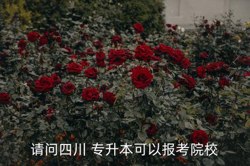 請(qǐng)問(wèn)四川 專升本可以報(bào)考院校