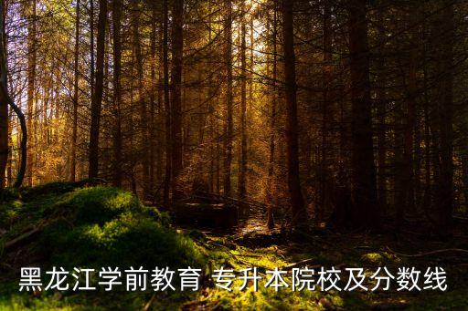 黑龍江學(xué)前教育 專升本院校及分數(shù)線