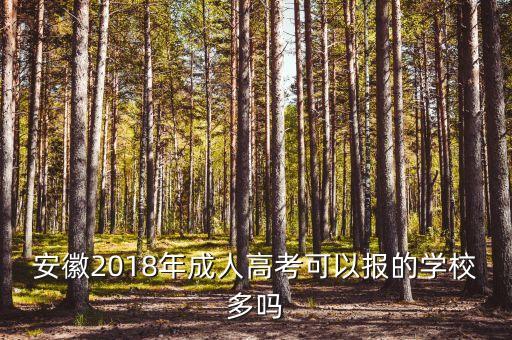 安徽2018年成人高考可以報(bào)的學(xué)校多嗎