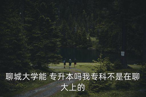 聊城大學能 專升本嗎我?？撇皇窃诹拇笊系? class=