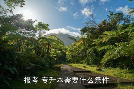 報(bào)考 專(zhuān)升本需要什么條件