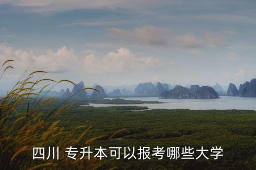 四川 專升本可以報考哪些大學