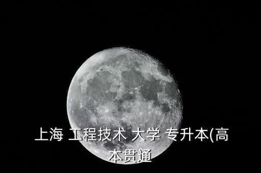  上海 工程技術 大學 專升本(高本貫通