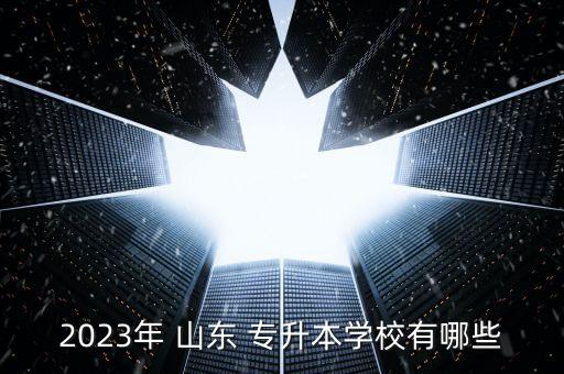 2023年 山東 專(zhuān)升本學(xué)校有哪些