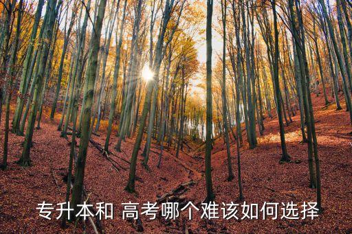  專升本和 高考哪個(gè)難該如何選擇