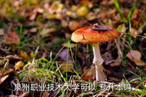 泉州職業(yè)技術(shù)大學(xué)可以 專(zhuān)升本嗎